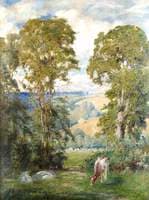 Cow Grazing in Landscape