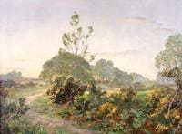 Selborne Common