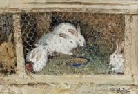 The Rabbits