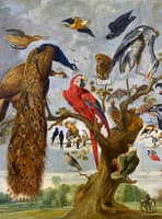 The Mockery of the Owl