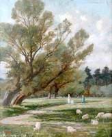 Sheep Grazing in Landscape