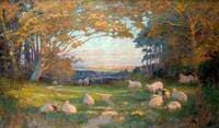 Sheep in the Meadow