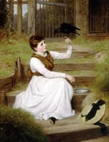 The Tame Jackdaw