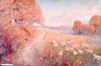 Sheep on a Hillside