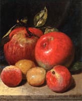 Apples and Plums