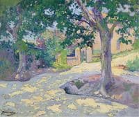 Street with Trees