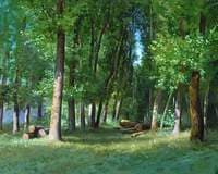 Avenue of Poplars at Bougival, France