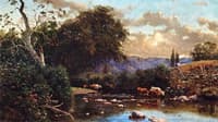 Cattle in a Stream