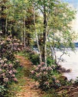 Mountain Laurel, Norfolk