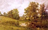 Pond near Whittem's Farm, near Coundon, Warwickshire