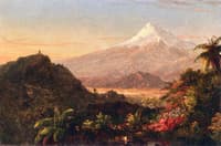 South American Landscape