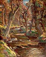 Woodland Scene