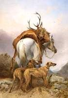 A Pony Carrying a Dead Deer