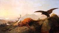 Dead Stag
