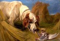 Dog and a Dead Partridge