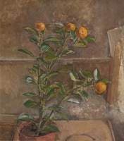 Orange Tree