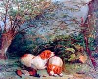 Dogs and a Pheasant