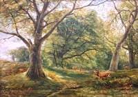 Forest Glade with Deer: The King of the Forest