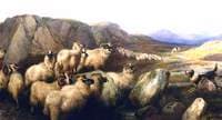 Gathering Flocks on the Grampian Hills