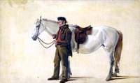 Grey Horse Led by a Scotsman