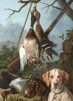 Gundogs and Game