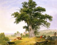 The Nutgatherers