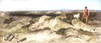 Lytham Sandhills