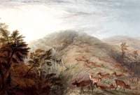 Mountain Scene with Deer