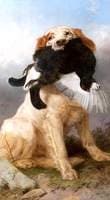 Retriever with Black Capercaillie