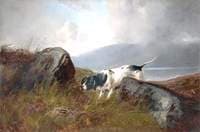 Sport in the Highlands