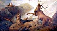 Stag at Bay