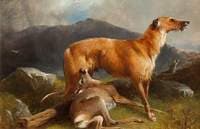Staghound and Hind