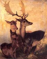 Startled Deer