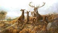 Startled Deer in a Landscape