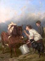The Favoured Calf