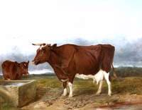 The Red Cow