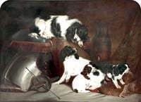 Two King Charles Spaniels and Their Pups