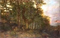 A Larch Forest