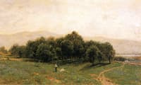 The Summer Picnic