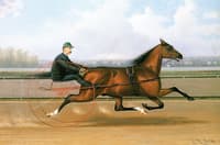 Majolica - Time 2:17
