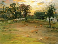 The Pumpkin Field