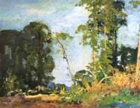 Landscape