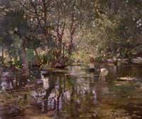 Shaded Water