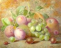 Fruit Still Life