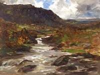 A Mountain Stream