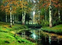 Golden Autumn