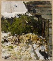 Spruces in a Farmyard