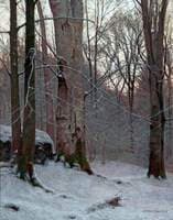 Winter Twilight