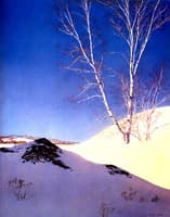 White Birches in the Snow