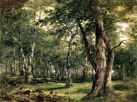 Woodland Interior with Stream